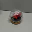 MOKOQI Birthday Gifts for Women Preserved Red Real Rose Flowers in Glass Dome, Forever Rose Valentines Day Gift for Her Mom on Christmas Birthday Flowers for Delivery Prime