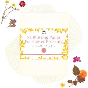 Berstuk XL Blotting Paper for Flower Press - Extra-Large 14.7 x 11.2 inch - Highly Absorbent and Reusable Herbarium Paper - Pack of 15 Sheets (Cream)