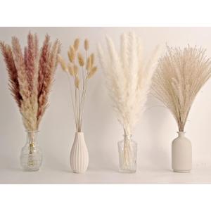 65PCS Pampas Grass Decor, Including Pompas Floral, Reed Dried Grass and Bunny Tails Dried Flowers, Natural Dried Pampas Grass Bouquet for Boho Decor Wedding, Home Decoration