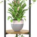 iDavosic.ly 3 Tier Corner Plant Stand Indoor, 34 Inch Tall Vertical Metal Flower Heavy Duty Pot Holder Shelf Outdoor for Patio Porch Living Room, Modern Black & Rustic Brown - Round