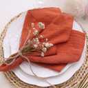 Dinner Cloth Napkins 10 Pack,Gauze Napkins 100% Natural Soft Cotton,Washable Fall Napkins for Wedding Decorative,Thanksgiving,Family Everyday Use,40 * 40cm (16 * 16 inches),Terracotta