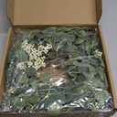 Pinkpum 20'' Eucalyptus Wreath for Front Door, Porch, Window - Green Decor for Home, Farmhouse - Spring, Summer, Fall, All Seasons