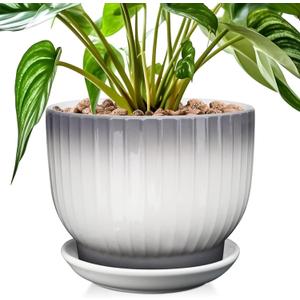 8 Inch Plant Pot, Ceramic Planter with Drainage and Saucer, Ceramic Pots for Plants, Indoor Plant pots,Ceramic Flower pots(Gray + White, Plants NOT Included)