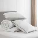 APSMILE Down Alternative Duvet Insert and 2 Down Pillows Set