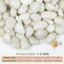 White Pebbles for Landscaping 40lbs, 1-2Inch Natural River Rocks for Aquarium, High Polished Decorative Stones for Vase Filler Fish Tank Gardening