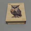 Wooden Puzzles for Adults - Mechanical Owl Puzzle, Unique Shape Wood Puzzles Adult, Wooden Jigsaw Puzzle for Adults, Gifts for Friends and Family, Wall Art Home Decor (L -13.4 * 9.1 in -200 Pieces)