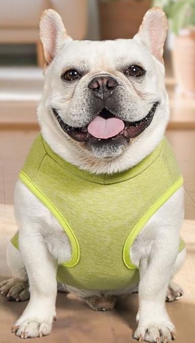 KYEESE  Dog Sweater Stretchy Dogs Clothes Dog Sweaters for Small Dogs Male Soft Dachshund Clothes Warm Pet Coats Turtleneck Small Pet Sweaters Pullover Pets Sweatshirt, S