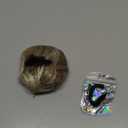 BARSDAR Straight Hair Bun Extensions - Synthetic Fully Short Ponytail Hair Bun Extensions for Women, Elastic Messy Scrunchies Hairpieces Daily Party - Mixed Blonde & Bleach Blonde Tips (1 Count (Pack of 1))