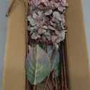 Ttranewsoo Fake Flowers Hydrangea Silk Flowers with Stems,Brown Flowers Fall Hydrangea Artificial Flowers,Winter Flowers Artificial for Decoration Vase Indoor and Outdoor 24"（Brown ） 8PCS Wthout Vase