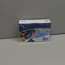 2 FlexiKold Gel Ice Packs - Ice Packs for Injuries Reusable, Back Pain Relief, Knee Ice Pack Wrap, After Surgery, Ice Pack for Knee - 6303-COLD-2PK by NatraCure - Medium  2PK