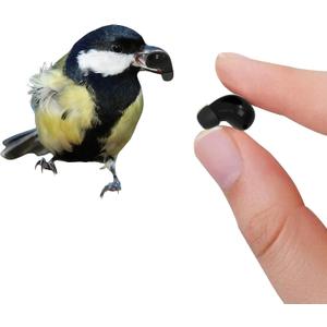 Xmenha Small Mini One Ear Invisible Earbuds Wireless Bluetooth Single Earbud Invisible Headphones Ear Buds Sleep Smallest Tiny Micro Hidden Discreet Earbuds for Work Sleeping Side Sleeper