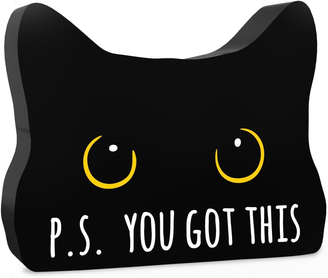 You Got This Funny office Acrylic Decor Sign Black Cat Decor Home Cat Decor for Home office Cat Lover Gifts For Women Men