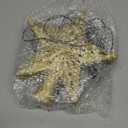 Christmas Tree Topper Star Lighted with 6 Projection Modes,Christmas Star Tree Topper Projector Built-in LED Rotating Lights,3D Glitter Dynamic Projector Party Christmas Decorations (Gold)