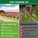 Gtongoko 4.8 Feet Heavy Duty Metal Fence Posts, 10 Pack U Channel Fence Post with Anchor Plate, Green Steel T Post for Garden, Yard, Farm, Wire Fencing
