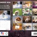 Pekingese Calendar 2026 Wall 12 Month Monthly Pekingeses Gifts For Pekingese Lovers Women Men Mom Dad | American Made In The USA