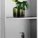 Shower Niche 12"x24", Two-Tier Recessed Brushed Nickel Wall Niche, Stainless Steel Cabinet Insert Tile Ready, NO Tile Needed for Waterproof Wall Storage