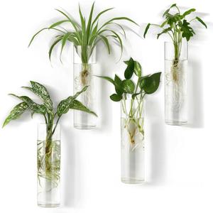 Mkono Propagation Station Wall Planter Hanging Glass Tubes Flower Vase for Hydroponics Plants, Bathroom, Home Office Living Room Decor Gift, Cylinder Set of 4 (Plants Not Included)