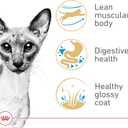 Royal Canin Feline Breed Nutrition Siamese Adult Dry Cat Food, 6 lb Bag (EXP 08/13/26)