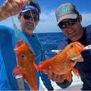 Deep Drop Glow Squid Bundle - 3 Rigs, 2 Deep Drop Lights, 2 Deep Drop Weights