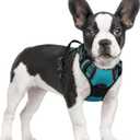 rabbitgoo Dog Harness No Pull with 2 Leash Clips, Adjustable Soft Padded, Reflective Oxford No Choke Pet Vest with Easy Control Handle for Small Dogs, Teal, S