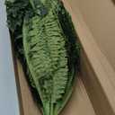 FOREST PRINCE 35" Ferns Artificial Bush Plants Large, 2 Artificial Boston Ferns with 39 Fronds for Outdoors Home Decor