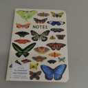 High Note Personal Planning Notebook, Orders of the Animals, Non-Dated Planner with 144 Lined Pages, 6" x 8.25", Illustrated Cover by Kelsey Oseid