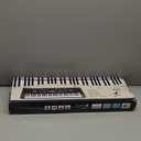 61 Key Keyboard Piano with Built-in Speaker and Microphone, Portable Electronic Digital Piano for Beginners, Perfect Musical Starter Instrument, Ideal Gift for Aspiring Musicians (Black)