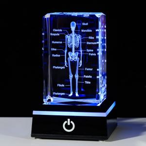 Movdyka 3D Human Skeleton Anatomy Model Doctor Psychology Graduation Gifts for Him Her, Laser Etched Crystal Skeleton Figurine Paperweight Science Biology Gift with Colorful LED Base (Body)