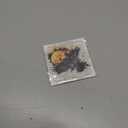 2 x Crow Magnet 4 Inch 2-Pack Corvus  Strong Vinyl Decorative Animal Magnets for Fridge Locker Kitchen Office  Cute Fun Aesthetic Cool Durable & Long-Lasting Souvenir ID44999