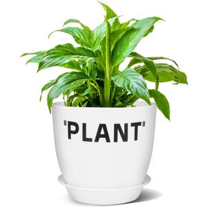 Off White Plant Pot, Hypebeast Decor Decorative Pots, Sneakerhead Gifts Plant Pots Indoor with Drainage, 5 Inch Small Flower Pots with Plastic Planter Liner
