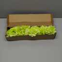 Kimura's Cabin 6pcs Green Silk Hydrangea Artificial Flowers Fake Hydrangeas with Stems Faux Hydrangea Bouquets for Wedding Arrangements Home Party Table Decoration (Lime Green)