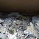 Magic Owl Building Block Set for Adults, Compatible with Lego, White Birds Model Toys Gifts for Home & Office Decor, Collectible 1162PCS Animals Building Sets Gifts for Boys Kids Girls