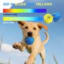 3PCS Dog Balls, Indestructible Dog Toys with Bell, Tennis Balls for Aggressive Chewers, Dog Teething Chew Toys for Small/Medium/Large Breeds(3 Inch)