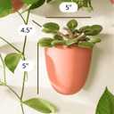Make Good PlantPod Luxe Self-Watering Wall Planters (Set of 3, Terracotta) - Easy to Water and Install - Lightweight - Design Your Own Vertical Garden - Wall Planters for Indoor Plants