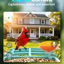 Smart Bird Feeder with Camera, AI Identifies 16,000+ Birds, Solar Powered, 2.5K HD, Auto Capture & Notify, Ideal Gift for Bird Lovers