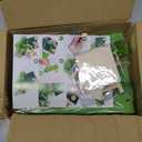 BVXVCB St. Patrick's Day Decorations Leprechaun Trap Kit -St Patrick's Day DIY Toys -Leprechaun Trap Decorations(Green)