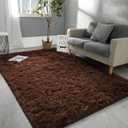 Hutha 4x6 Large Area Rugs for Living Room, Super Soft Fluffy Modern Bedroom Rug, Brown Coffee Indoor Shag Fuzzy Carpets for Girls Kids Nursery Room Home Decor
