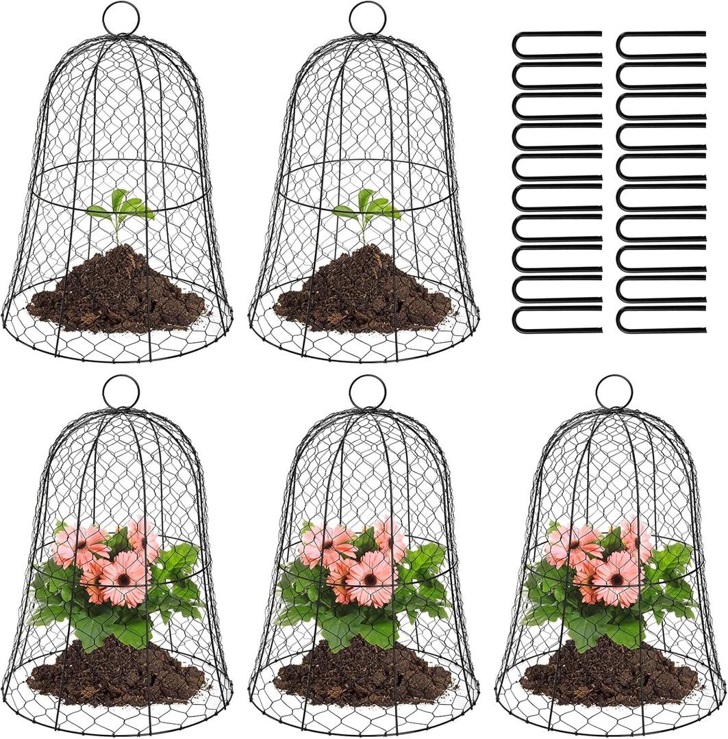 Coloch 5 Pack Garden Chicken Wire Cloche, 16x 13 Inches Black Dome Plant Protector Cover Strong Metal Garden Cloches Protecting Plants and Seedling from Animals