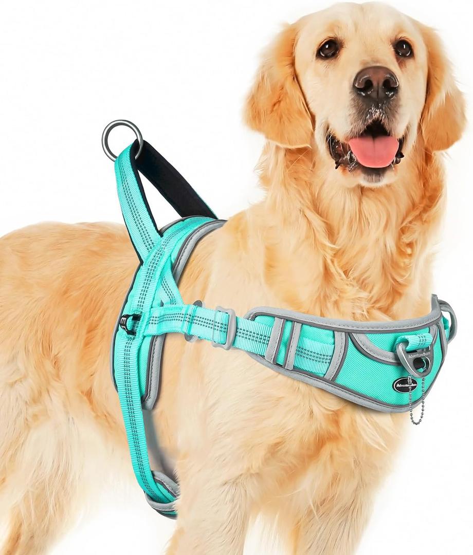 ADVENTUREMORE Medium Dog Harness - No Pull, Reflective, Escape Proof with Front Clip Handle for Training & Walking - Teal