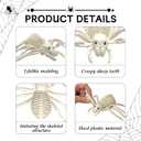 4Pcs Realistic Spider Skeleton,Horrible Spider Bone,Vivid Spider Skeleton Model Halloween Decorations for Yard Garden Lawn,Haunted House Props(Spider-4p)