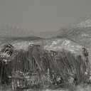 100 Pcs Stainless Steel Curtain Pleat Hook, Dveda Drapery Hooks Traverse Pleater, Curtain Pleater Tape Hooks, 4 Prongs Pinch Pleat Clips Hooks for Window Door Bathroom Curtain