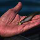 4 x Northland Fishing Tackle Smeltinator Jig Head, Premium Bass Fishing Lure for Swimbaits & Plastics, 3 Pack - 1/8 Oz (4/0 Hook, Purple Silver)