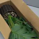 Der Rose 28'' Fake Plants Tall Artificial Monstera Faux Plants Indoor for Living Room Home House Decor