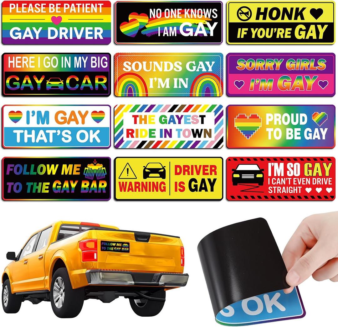12 Pcs Gay Pride Funny Magnet Bumper Sticker LGBT Rainbow Pride Prank Magnetic Sign for Vehicle Truck Reusable Magnet Sticker for Fridge(Cute)