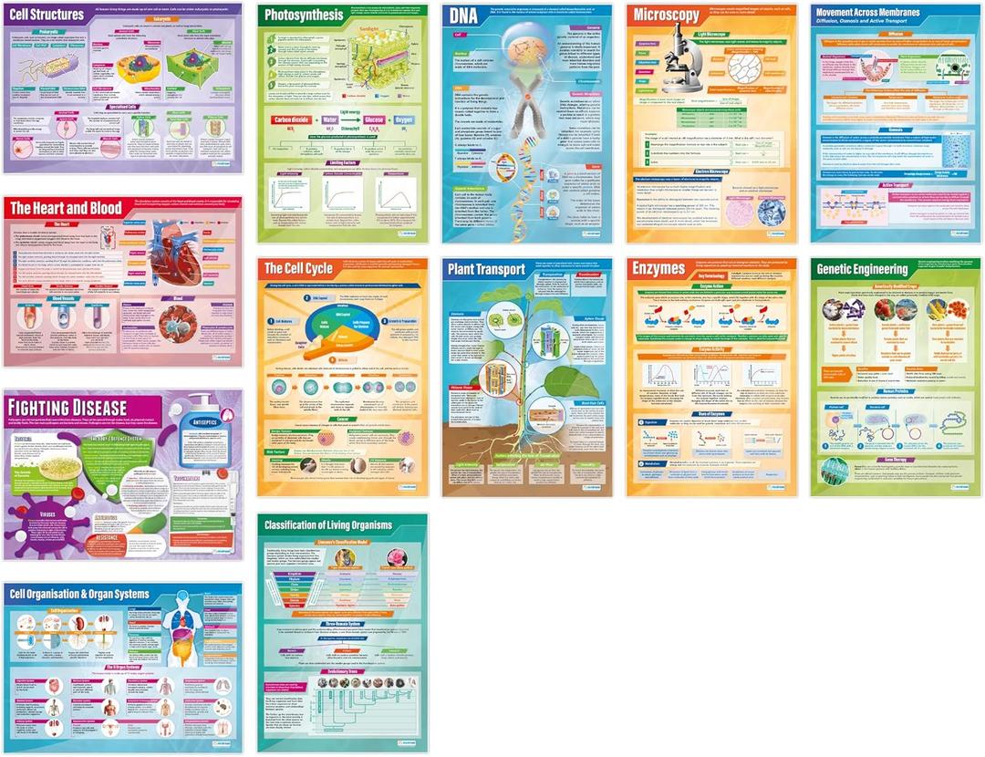 Daydream Education Biology Educational Science Posters – Set of 13 Biology Posters – EXTRA LARGE 33x23 Gloss Paper Classroom Wall Chart for STEM, Middle School, & High School – Science Classroom Decor, 33L" x 23.5W"