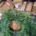 Artificial Hanging Plants with Basket 2PCS Fake Boston Fern Baskets Outdoor