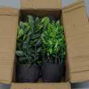 4 Pack Fake Plants Ceramic Mini Artificial Greenery Potted Plants for Home, Office, Room, Farmhouse, Indoor Table, Bathroom Decor (Black)