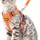 Cat Harness and Leash Escape Proof Extra Large Kitten Harness Maine Coon Cat Vest for Walking Travel, Orange, XXL
