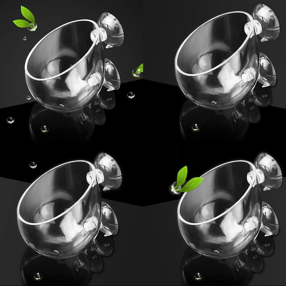 capetsma 4X Crystal Glass Aquarium Plant Pot, Aquarium Aquatic Planter, Red Shrimp Live Plants Fish Tank Glass Holder with 4X Suction Cups for Aquarium Fish Tank Decorations  (4 Pack)