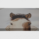 DI JLA 28X22 ITS In The Eyes CVS Art